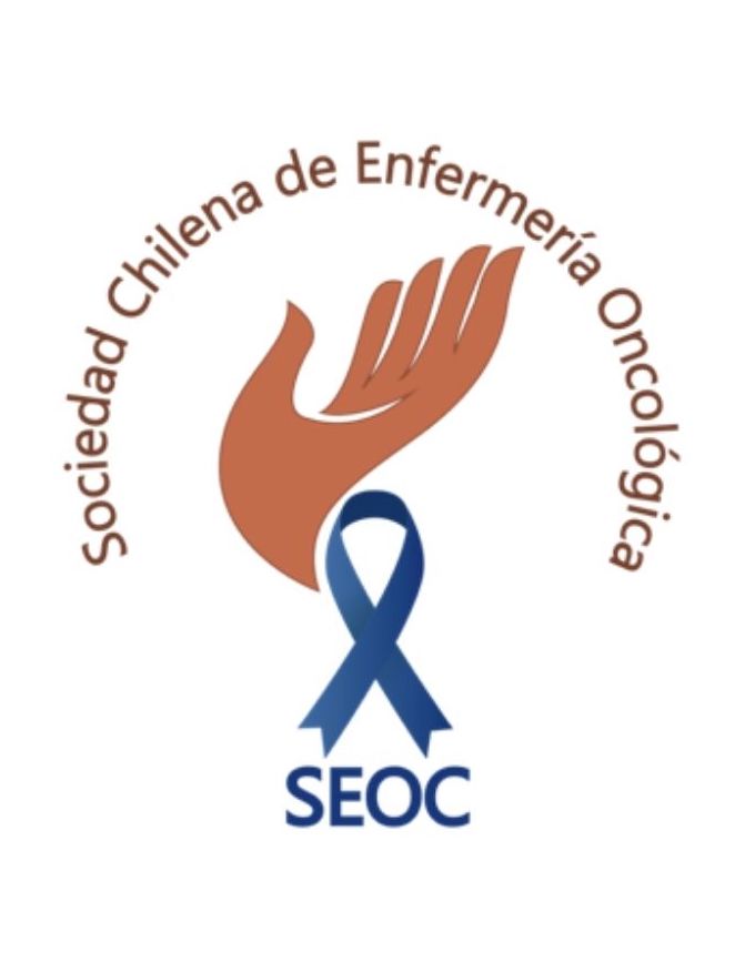 seoc logo color
