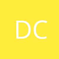 Daniela Pamela Valenzuela Castillo